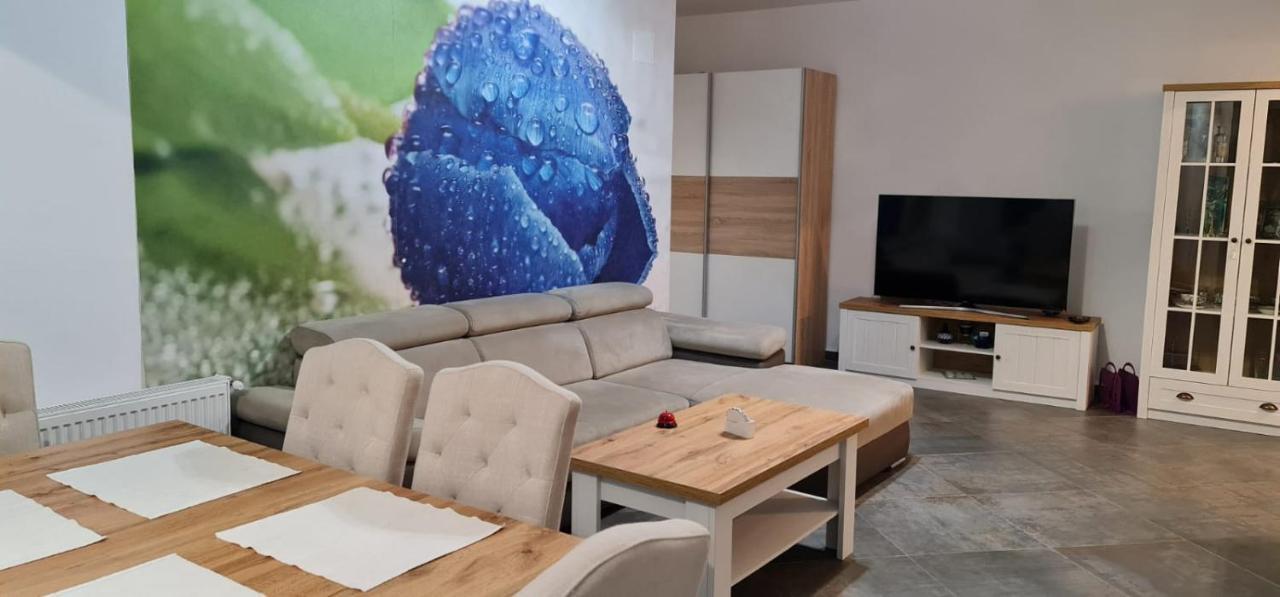 Apartament FIORE BLU  Năvodari Esterno foto